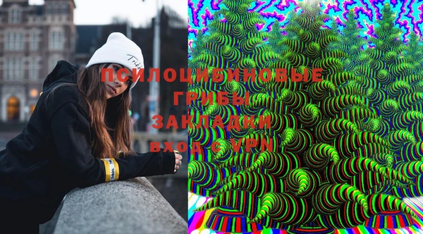 трава Новодвинск
