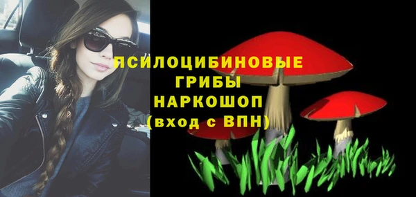 трава Новодвинск