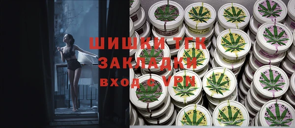 соль ск Новозыбков