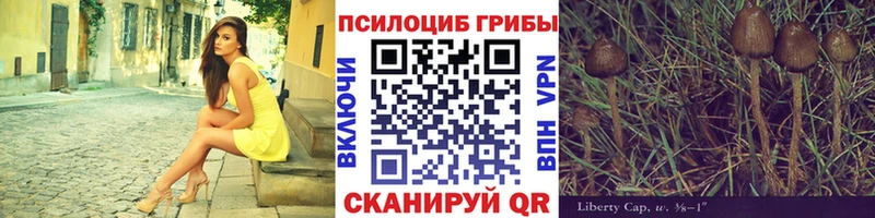 Псилоцибиновые грибы прущие грибы  Теберда 